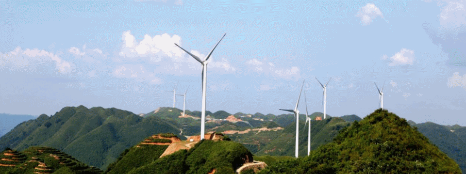 1711348805368560.gif 動(dòng)圖1.gif